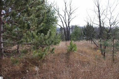 0 Indian Trail unit 1940617, Buckley, MI 49620 - photo 7