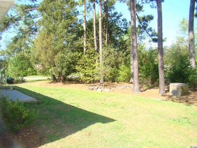 1000 Mimosa Ct, Conway, SC 29527 - photo 5