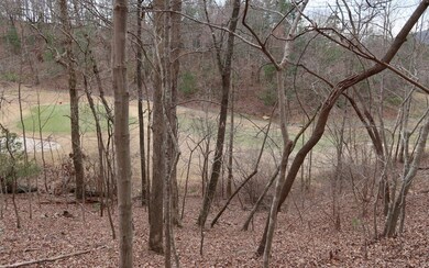 2786 Summit Dr, Ellijay, GA 30536 - photo 6