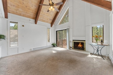 Living Room - High Vaulted Ceiling