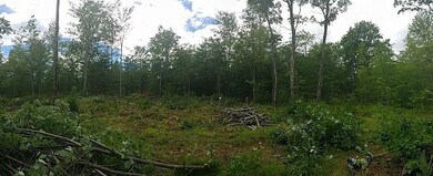 Cleared area for home
