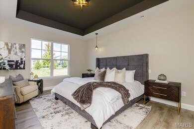 0 Unknown unit MIS25067012, O'Fallon, MO 63385 - photo 5