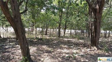 01 N Loop St, San Marcos, TX 78666 - photo 3