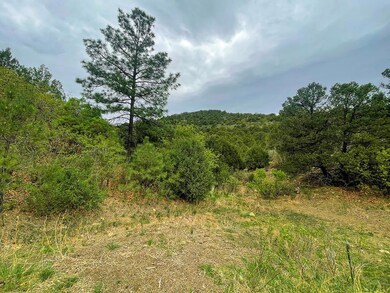 33011 Pine Nut Dr unit 63, Trinidad, CO 81082 - photo 2
