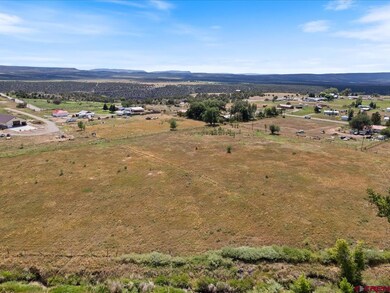 TBD Highway 145, Redvale, CO 81431 - photo 2