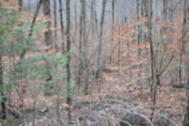 Lot 75 Tomahawk Rd, Jamestown, TN 38556 - photo 7