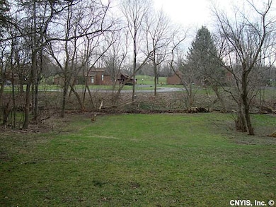 Backyard.