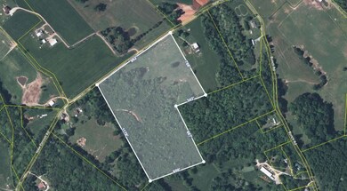 0 New Corinth Rd unit RTC2932598, Blaine, TN 37709 - photo 6