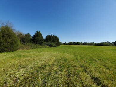 230 Temple Ford Rd Lots 3 & 4, Shelbyville, TN 37160 - photo 6