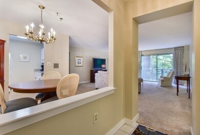 Crescent Park Condominiums unit 206, Woburn, MA 01801 - photo 6