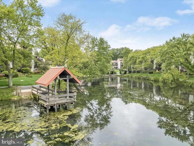 10065 Windstream Dr unit UT1, Columbia, MD 21044 - photo 3