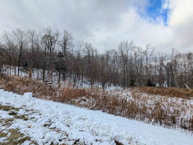 41 Moose Hollow Rd, Winhall, VT 05340 - photo 4