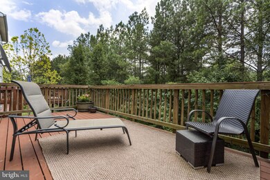 42247 St Huberts Place, Chantilly, VA 20152 - photo 3