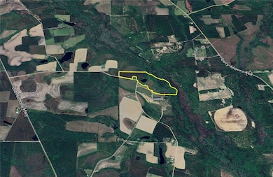 8802 Good Carter Rd, Nicholls, GA 31554 - photo 3