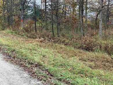 0 Wade Rd, Mussey Township, MI 48014 - photo 6