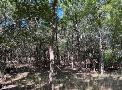 250 Rolling Oaks Dr unit Lot 1, Driftwood, TX 78619 - photo 4