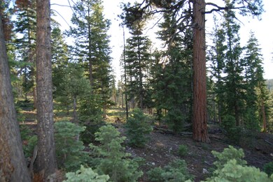 DSC_0006