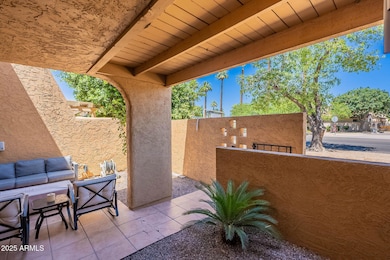 6-web-or-mls-Central-6