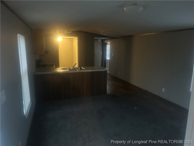 56 Celia Dr, Lumberton, NC 28358 - photo 2