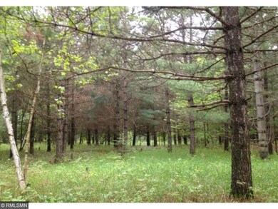 Summer view of clearing