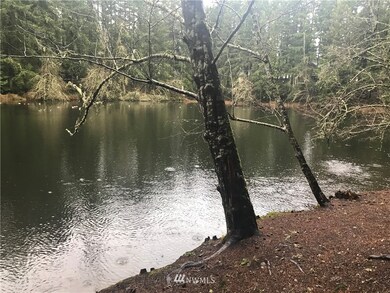 22237 Bluewater Dr SE, Yelm, WA 98597 - photo 7