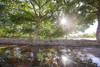 3045F71C-9B00-419C-B733-A4F9A21D15B1