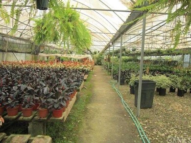 805 Bracero Rd, Encinitas, CA 92024 - photo 6