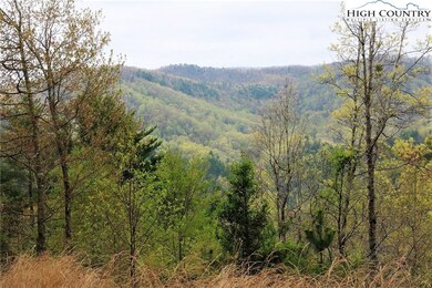 65 W Ridge Dr, Ferguson, NC 28624 - photo 2