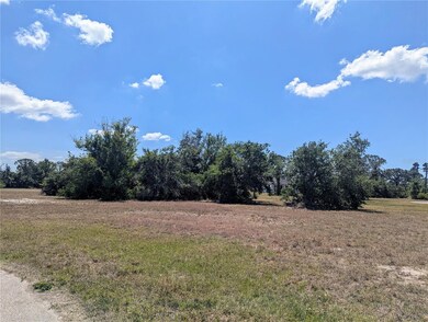 13 Bail Ct, Rotonda Sands, FL 33946 - photo 6