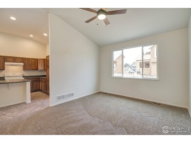 641 Mt Princeton Dr, Severance, CO 80550 - photo 7