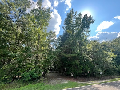 0 French Santee Rd unit 24022267, Jamestown, SC 29453 - photo 2