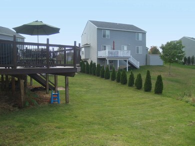View Of Back Yard