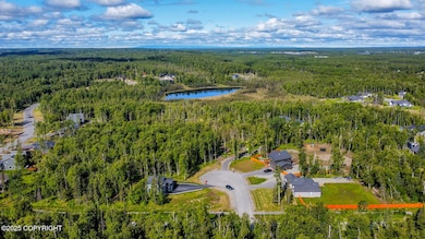 dji_fly_20250610_103138_151_174978627885