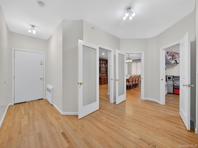 6 Rose Garden Way unit 203, Monsey, NY 10952 - photo 6