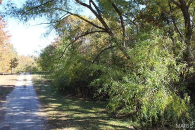 TBD Sandpiper Ln, Fairdealing, MO 63939 - photo 2
