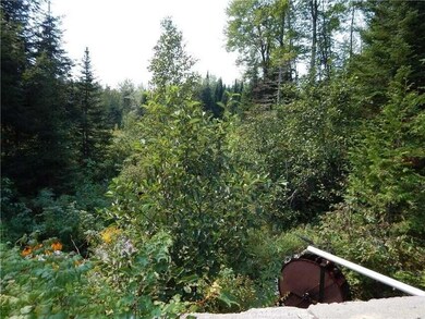 waterwheel