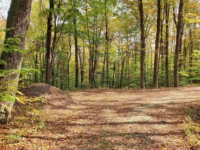 0 Miller Ln, Williamsville, VT 05362 - photo 2