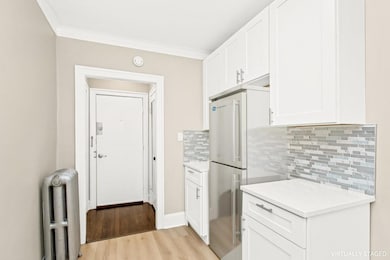 5002 W Newport Ave unit 1, Chicago, IL 60641 - photo 7