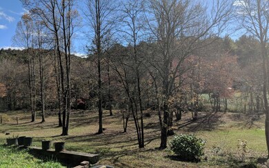 Additional View