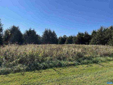 196 Hunters Point unit 11, Nellysford, VA 22958 - photo 5