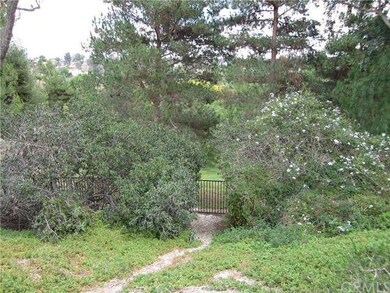 View from backyard