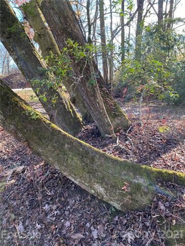 00 Howard Gap Rd, Hendersonville, NC 28792 - photo 5