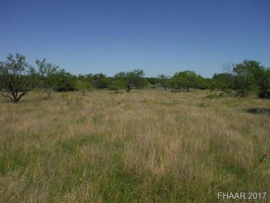 Tract 13 Private Road 3642, Copperas Cove, TX 76522 - photo 5