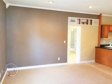 3920 Ruby Dr W, Jacksonville, FL 32246 - photo 6