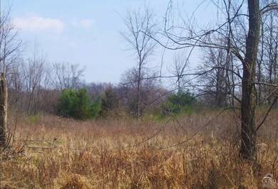 0 North Rd unit 152748, Red Hook, NY 12583 - photo 4