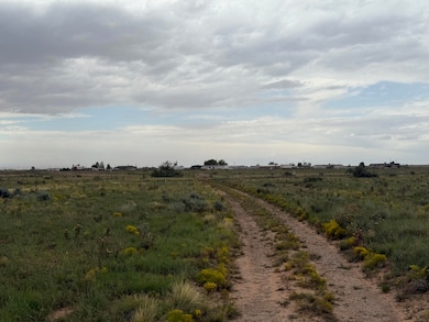 Lot 389 Rancho Rio Grande, Belen, NM 87002 - photo 4