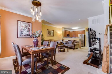 15787 John Diskin Cir unit 95, Woodbridge, VA 22191 - photo 3