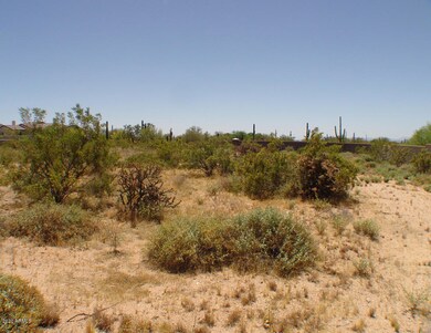 LOT 19 FROM THE NORTH TOWARD THE SOUTH