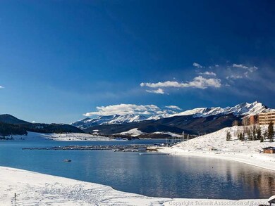 144 Gold Run Cir unit 21, Dillon, CO 80435 - photo 2