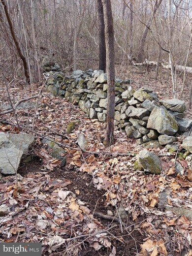 0 Old Ski Lodge Ln unit VARP107716, Washington, VA 22747 - photo 3